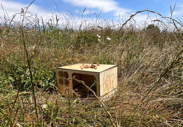 Acorn Commons installation, front view