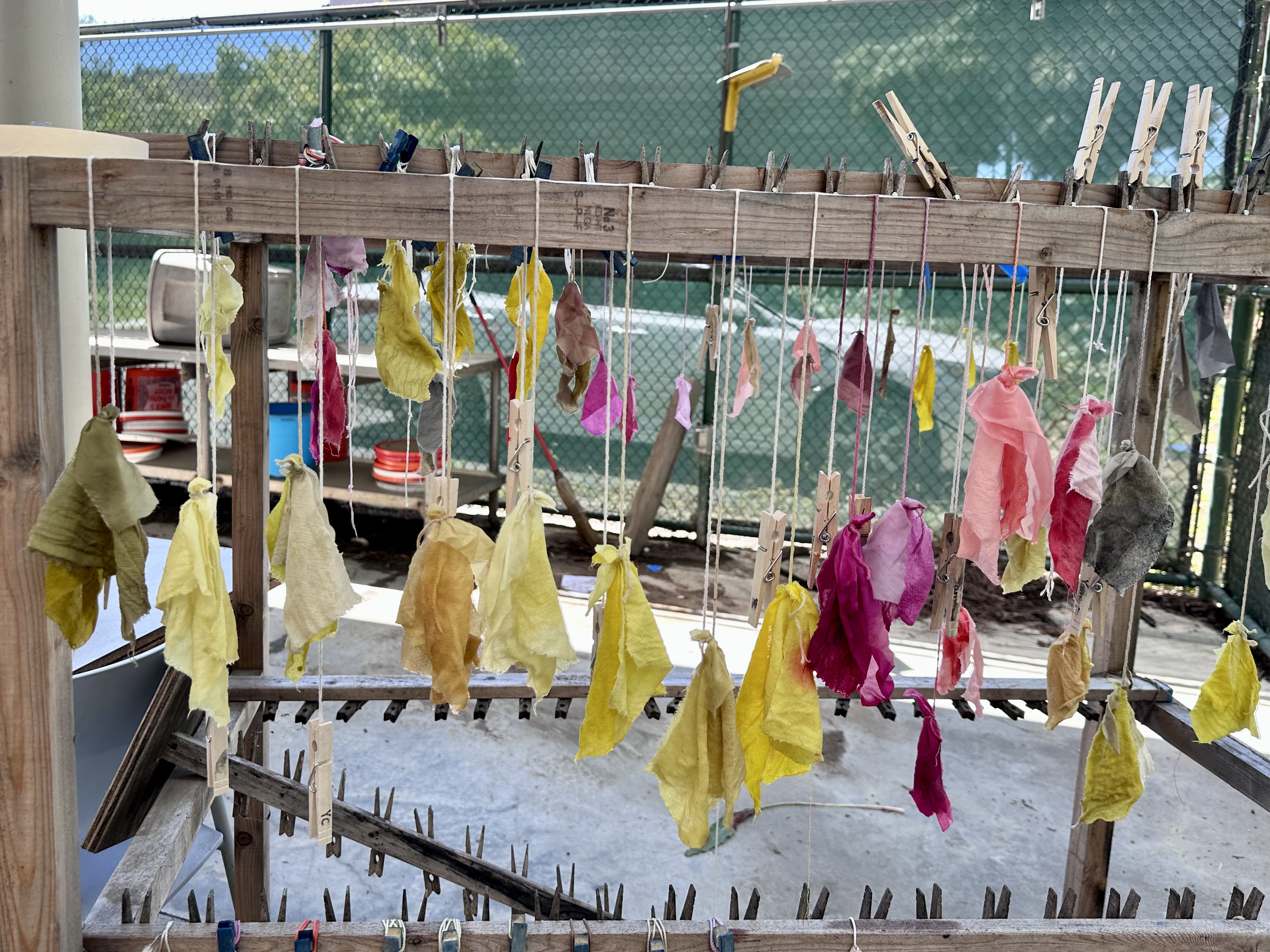 Cochineal dye experiments