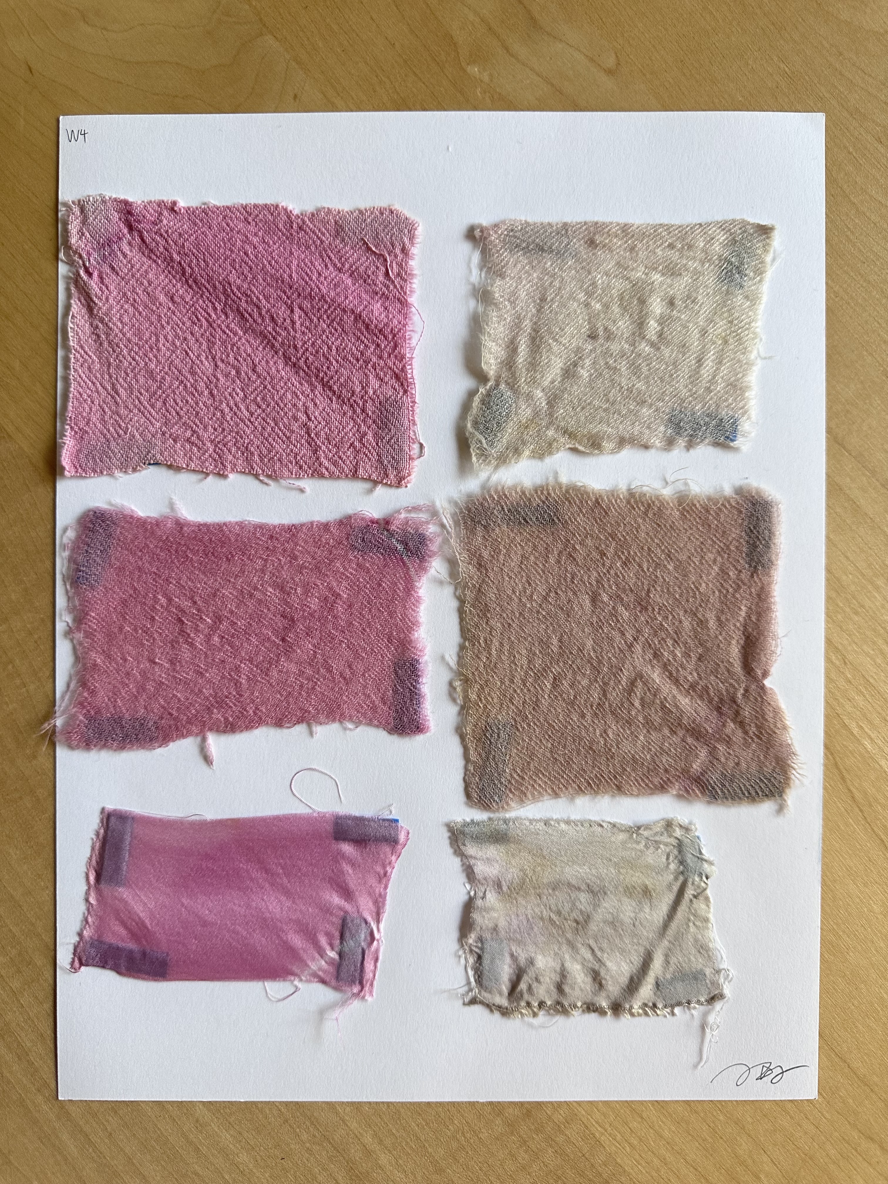 Cochineal dye 3