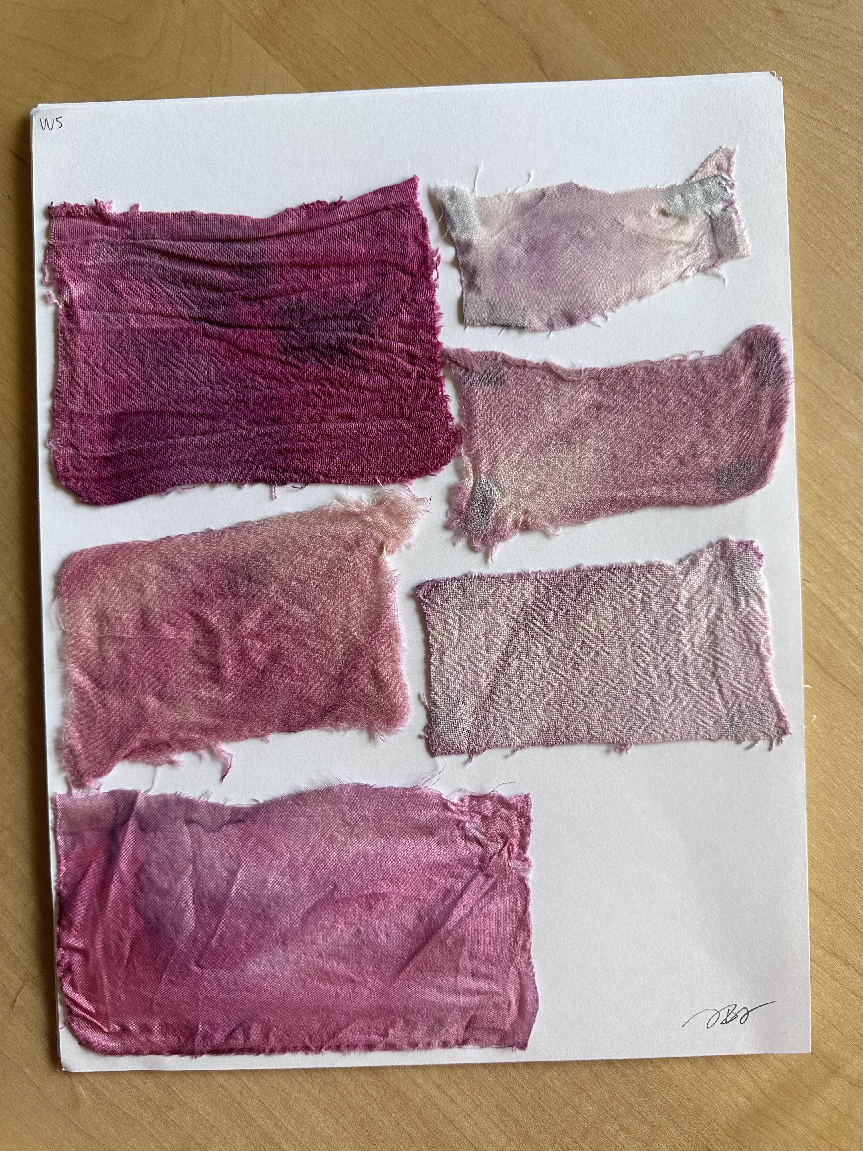 Cochineal dye 4