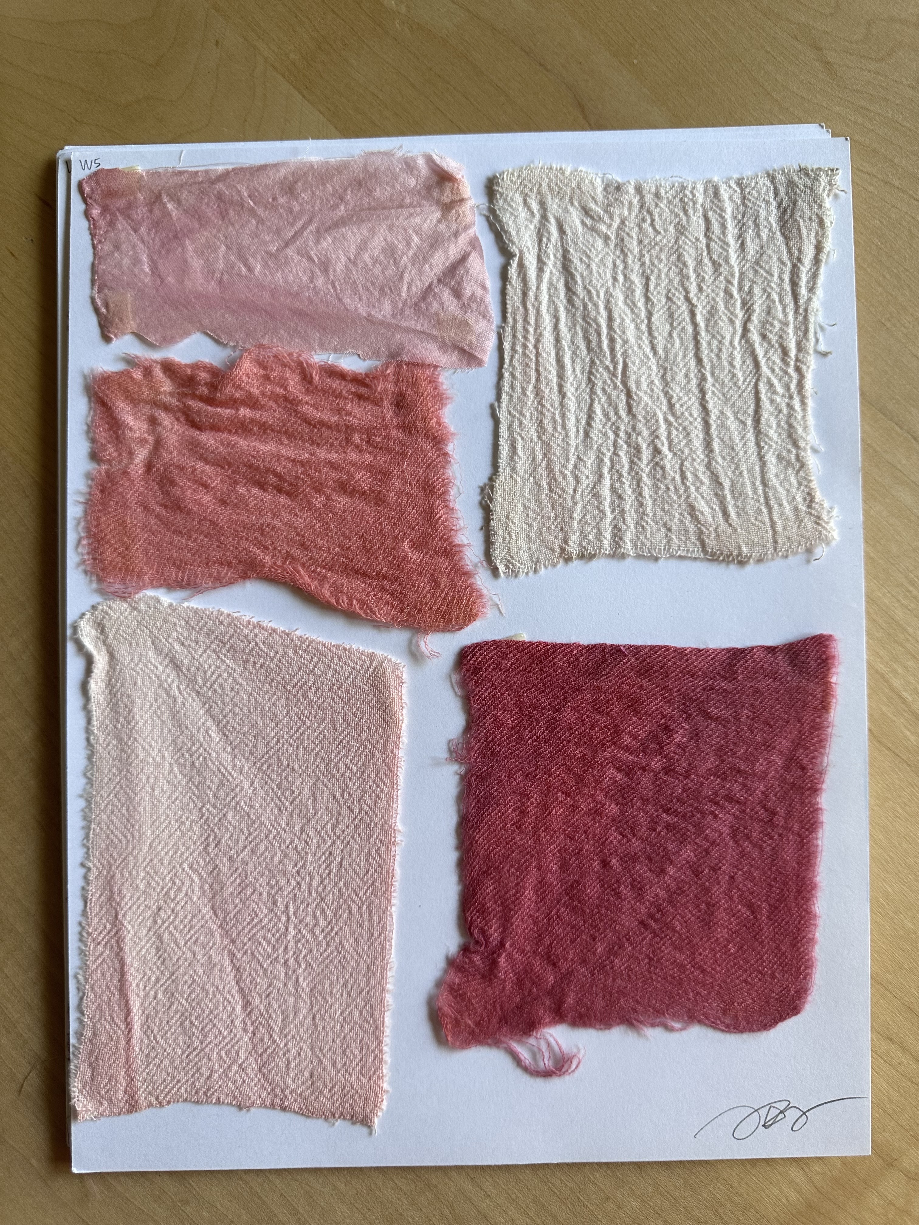 Cochineal dye 5