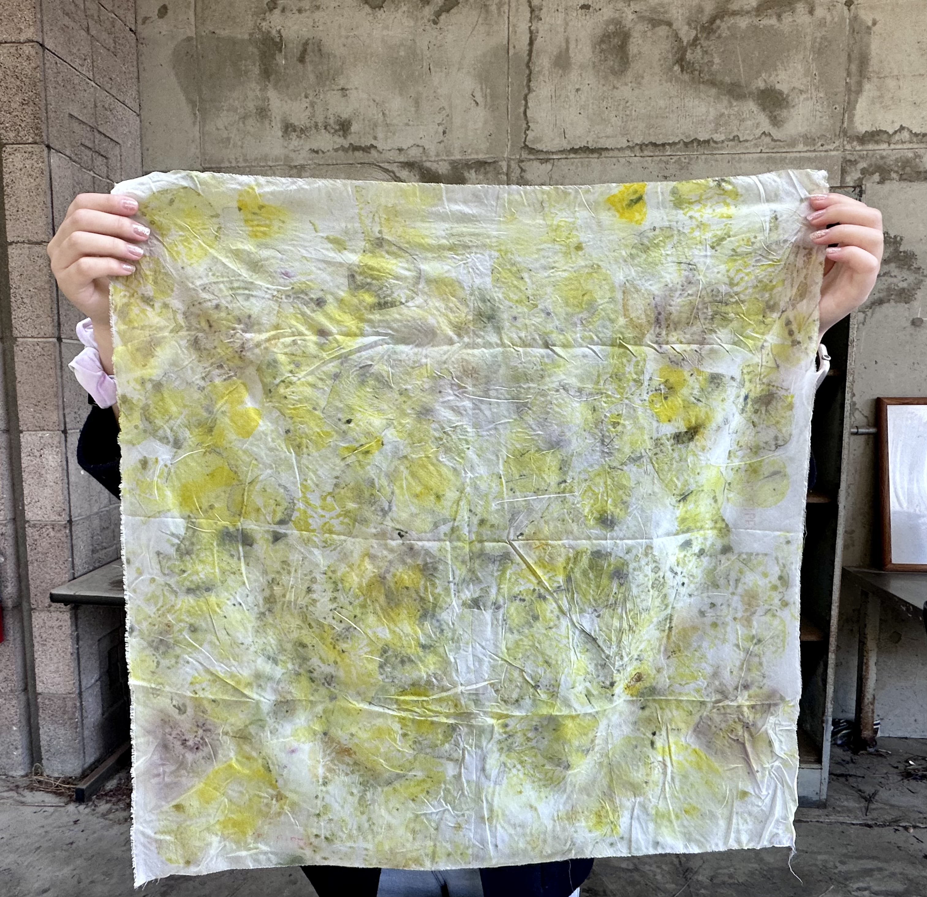 Flower on Silk, natural dye on silk fabric