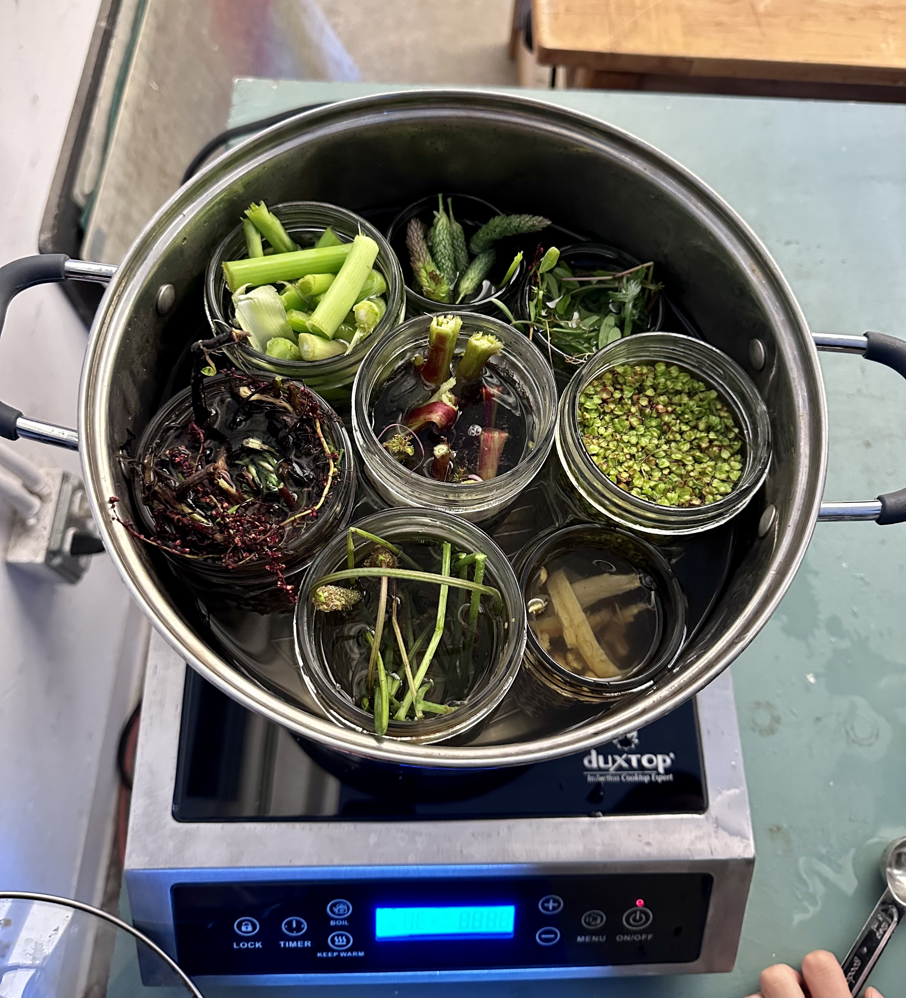 Nonnative plants natural dye