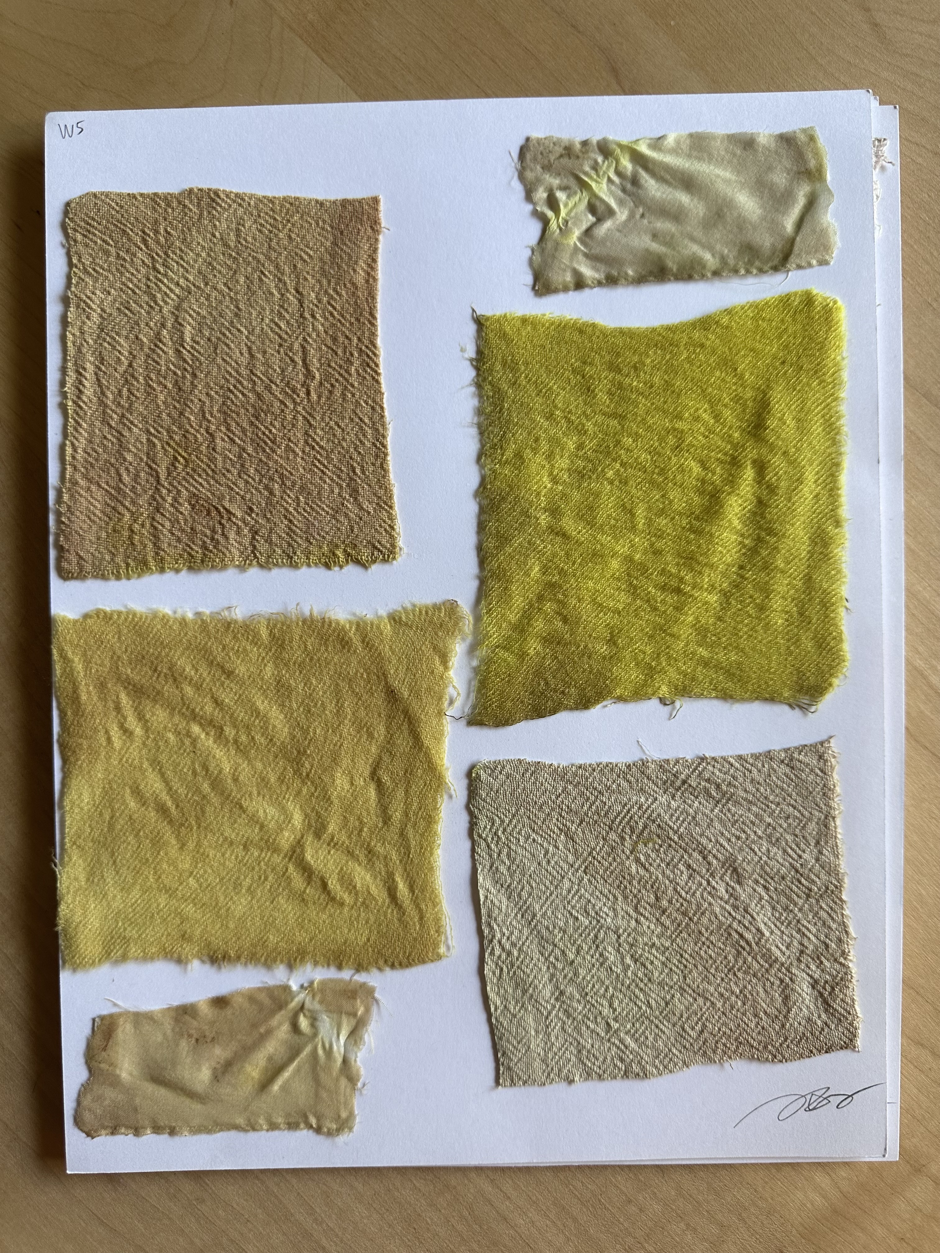 Nonnative plants dye 4