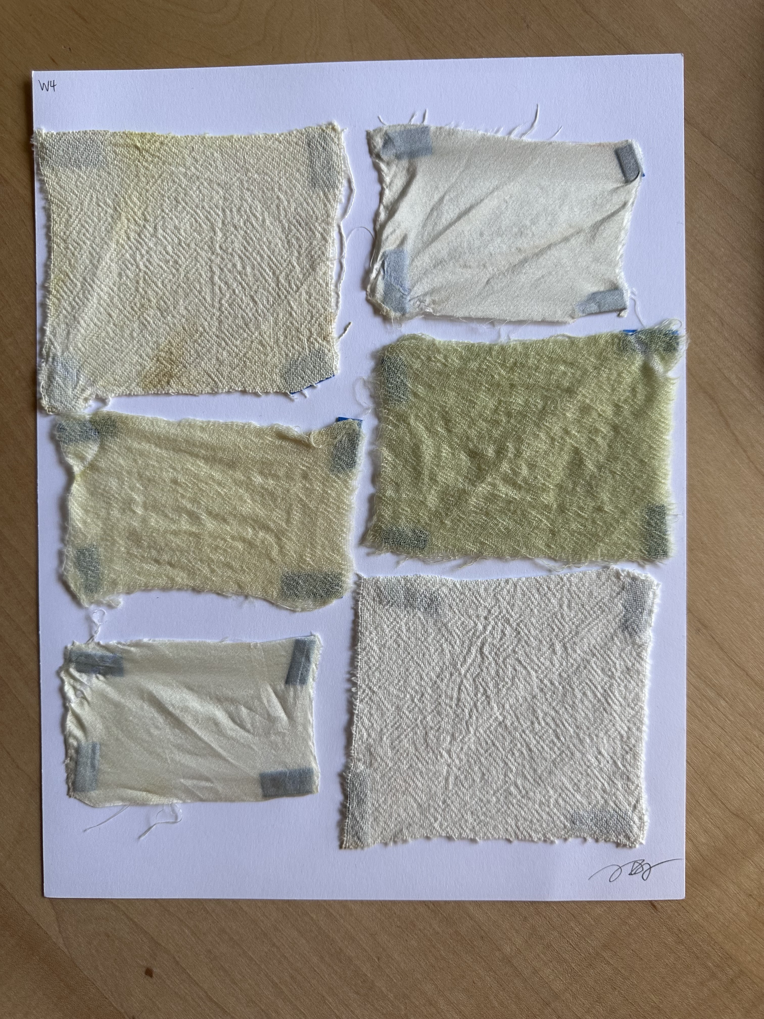 Nonnative plants dye 6