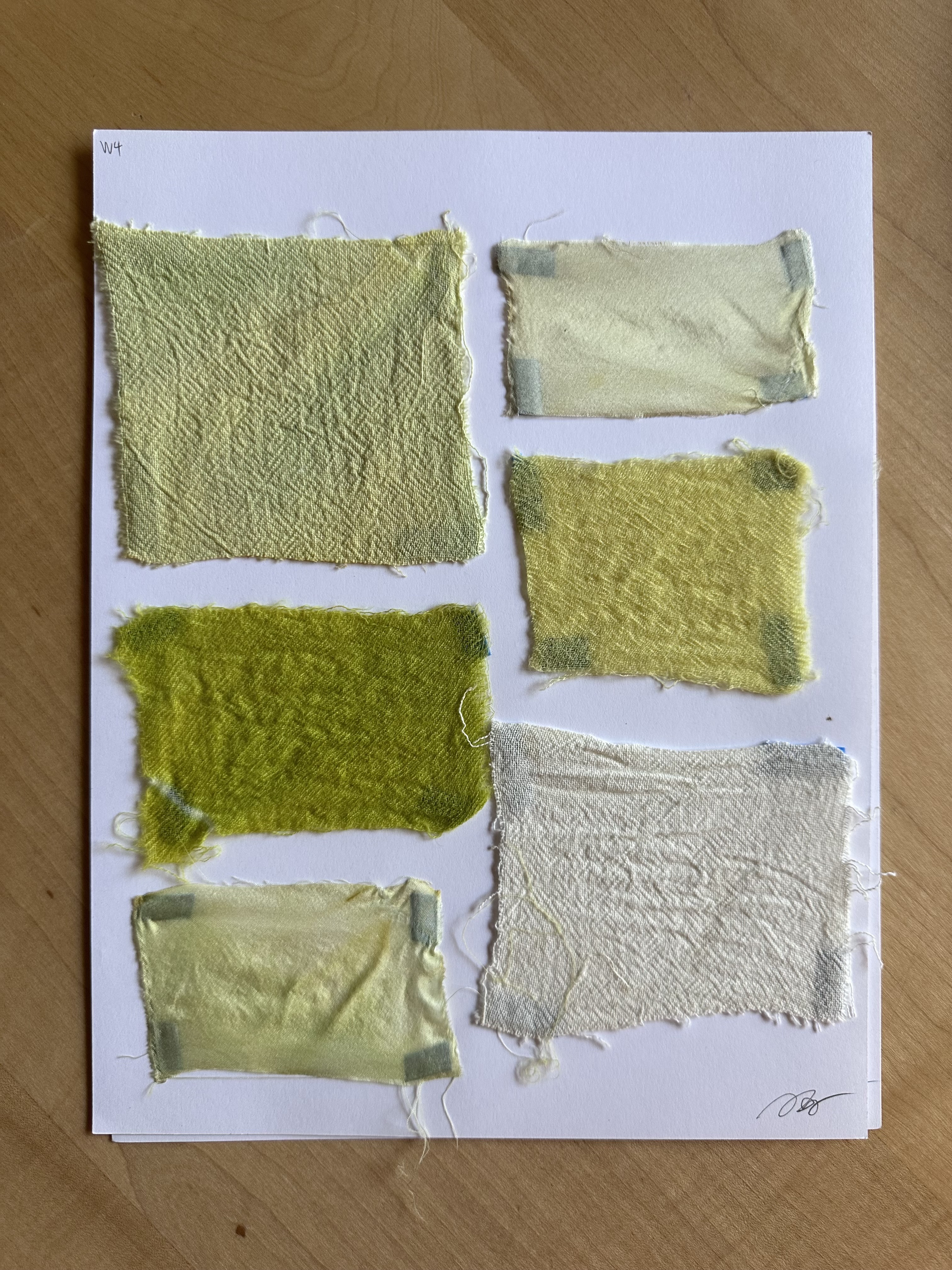 Nonnative plants dye 7