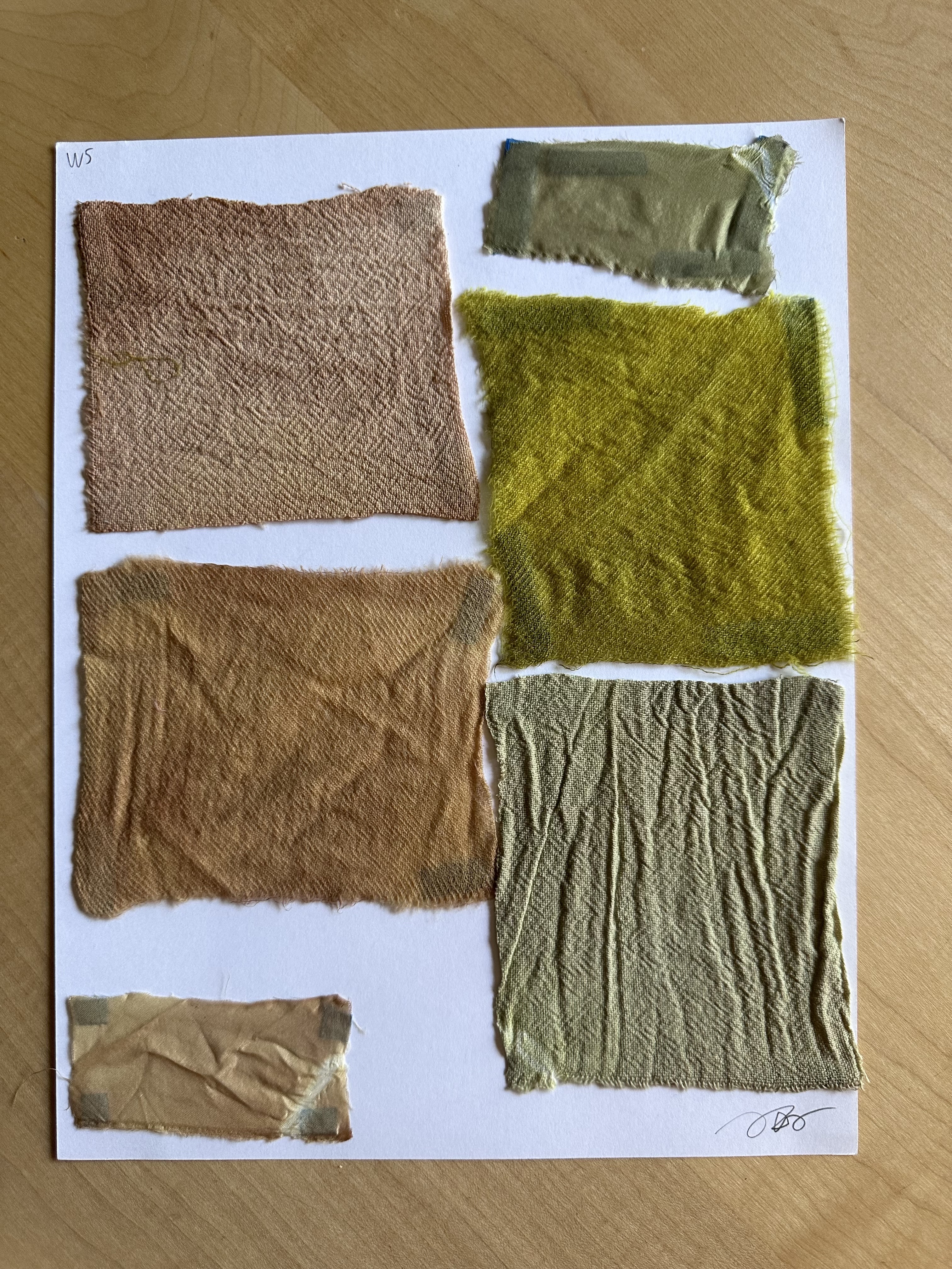 Nonnative plants dye 9