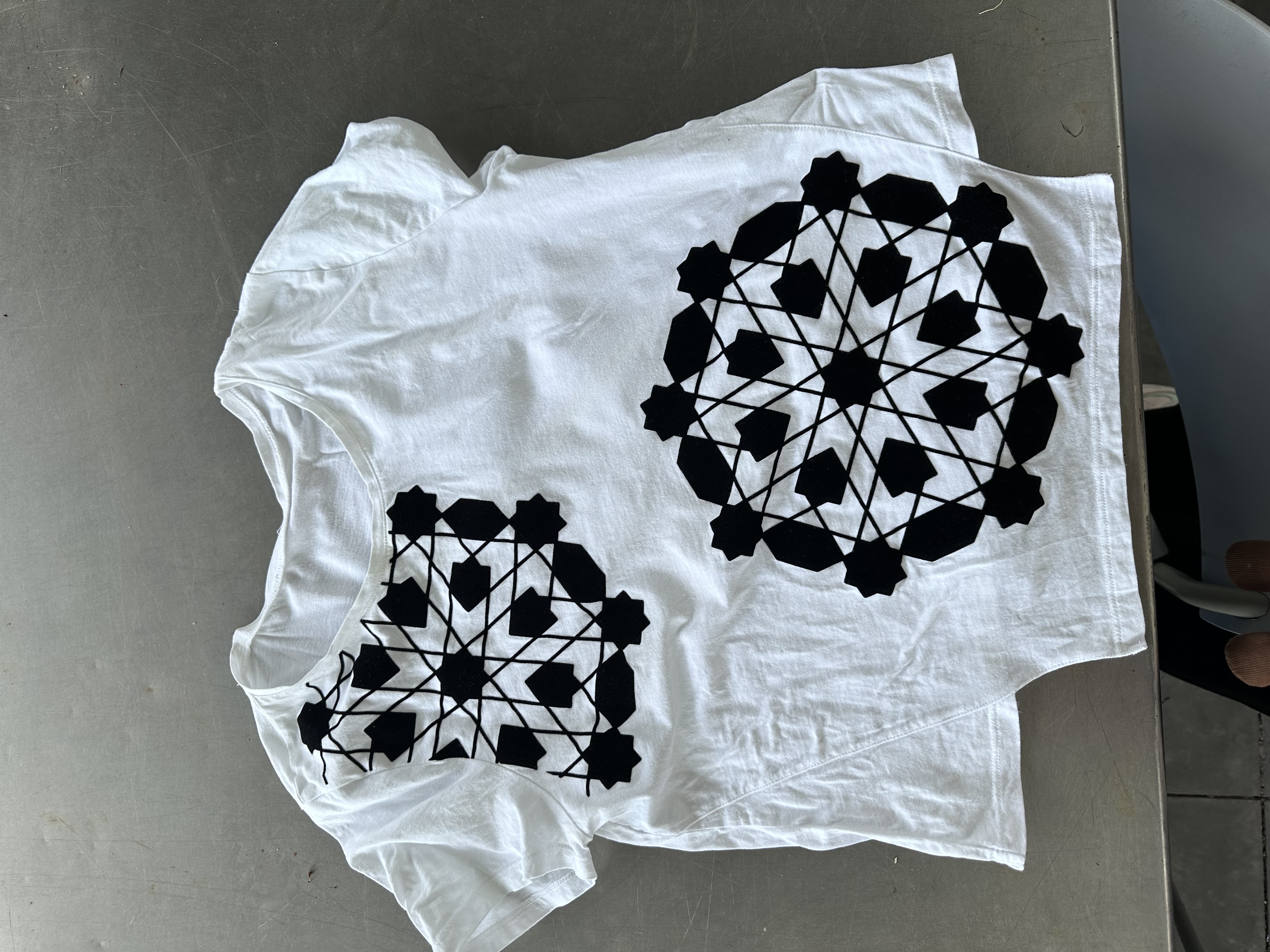Cochineal dye final project