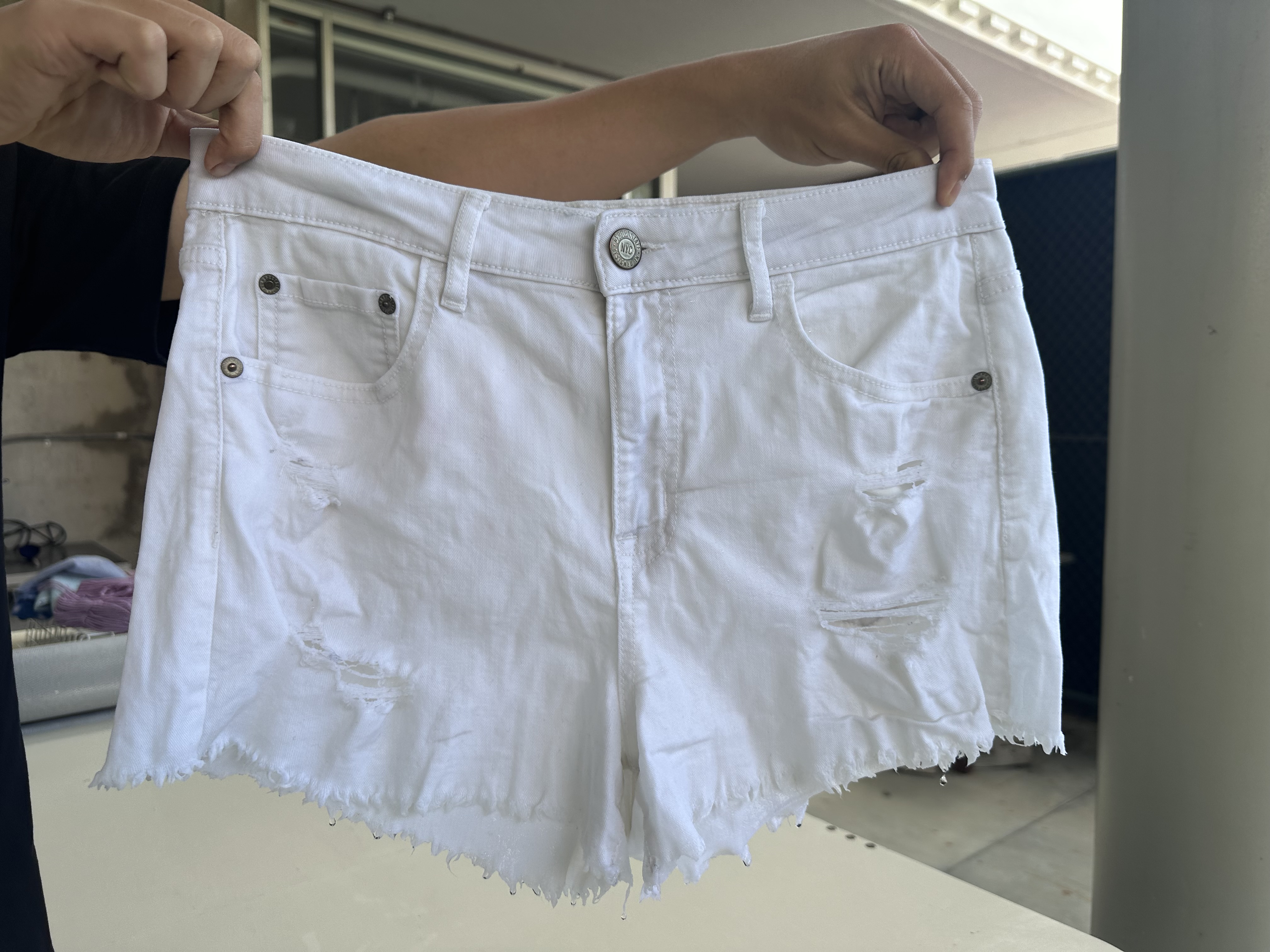Indigo dye final project