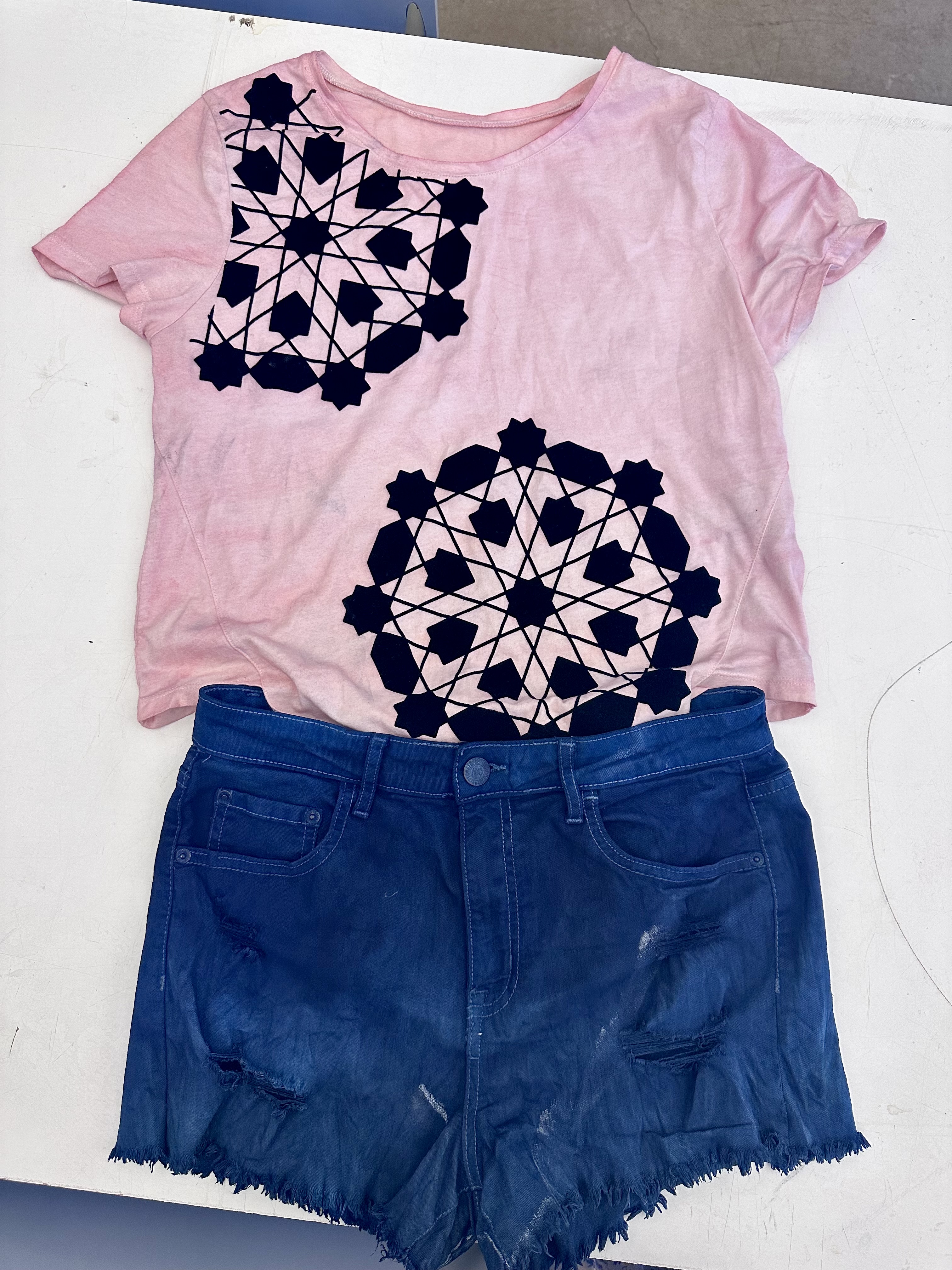 Indigo and cochineal combined final 1