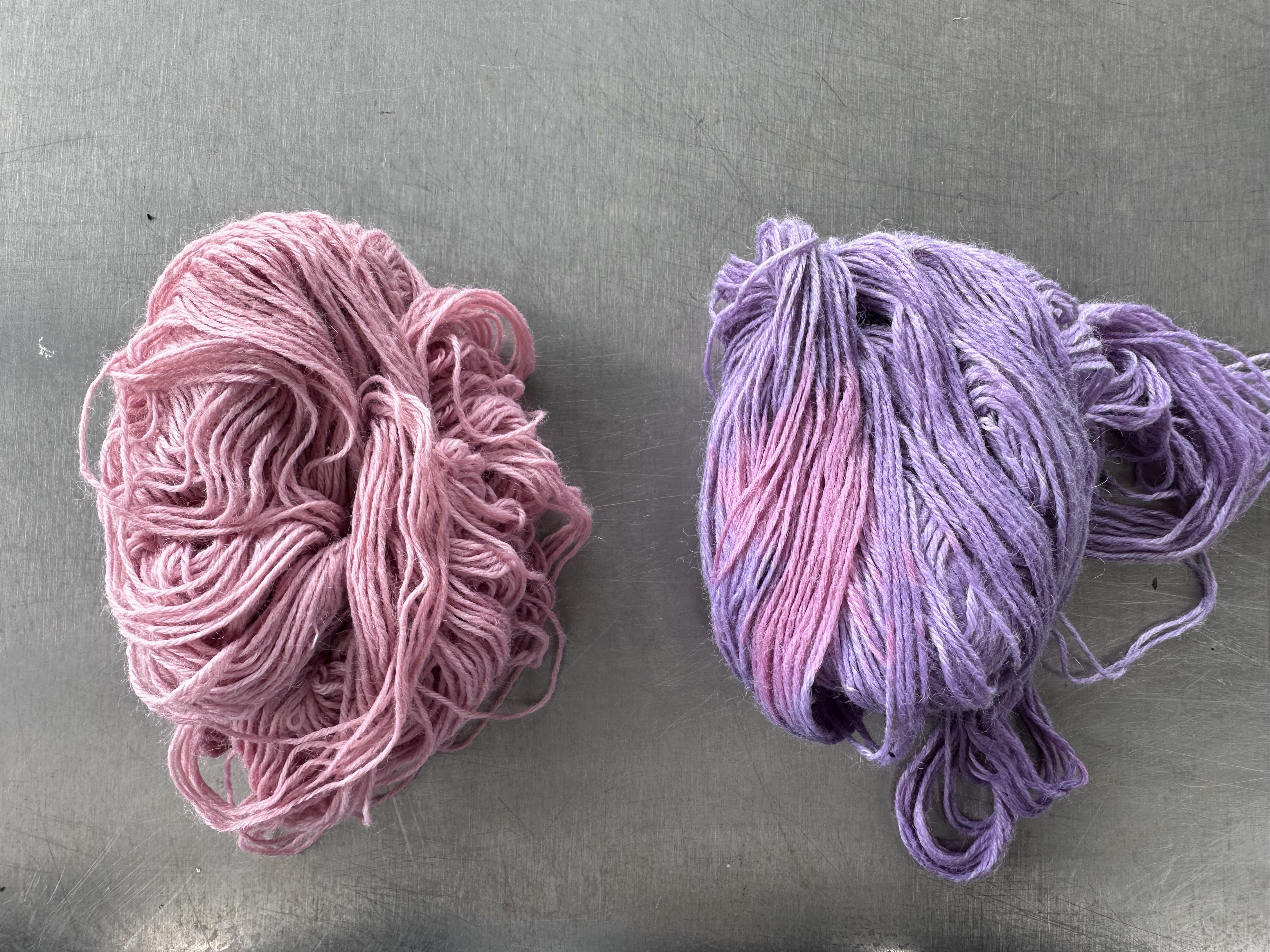 Indigo and cochineal combined final 3