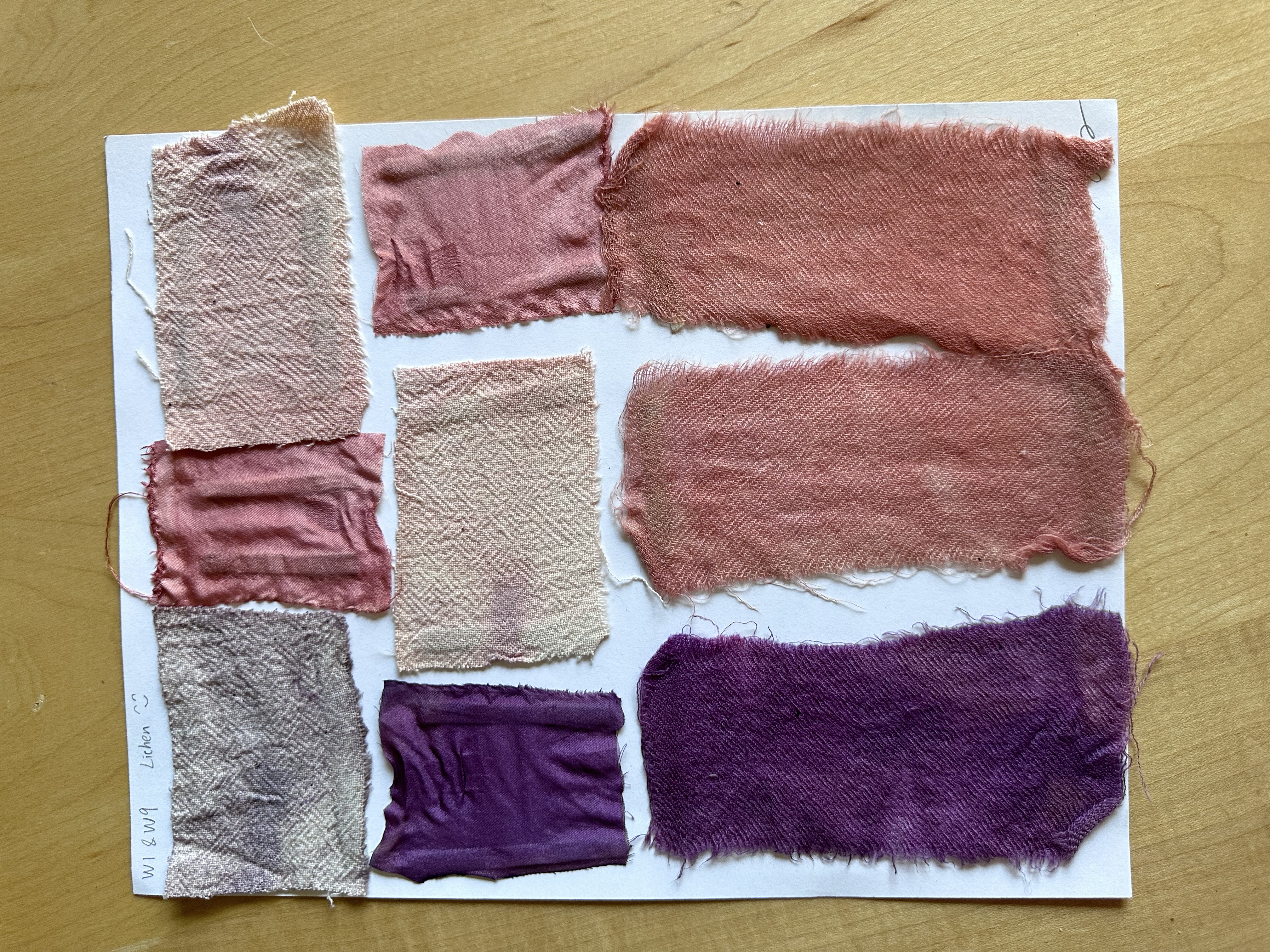 Lichen dye final dyed pieces