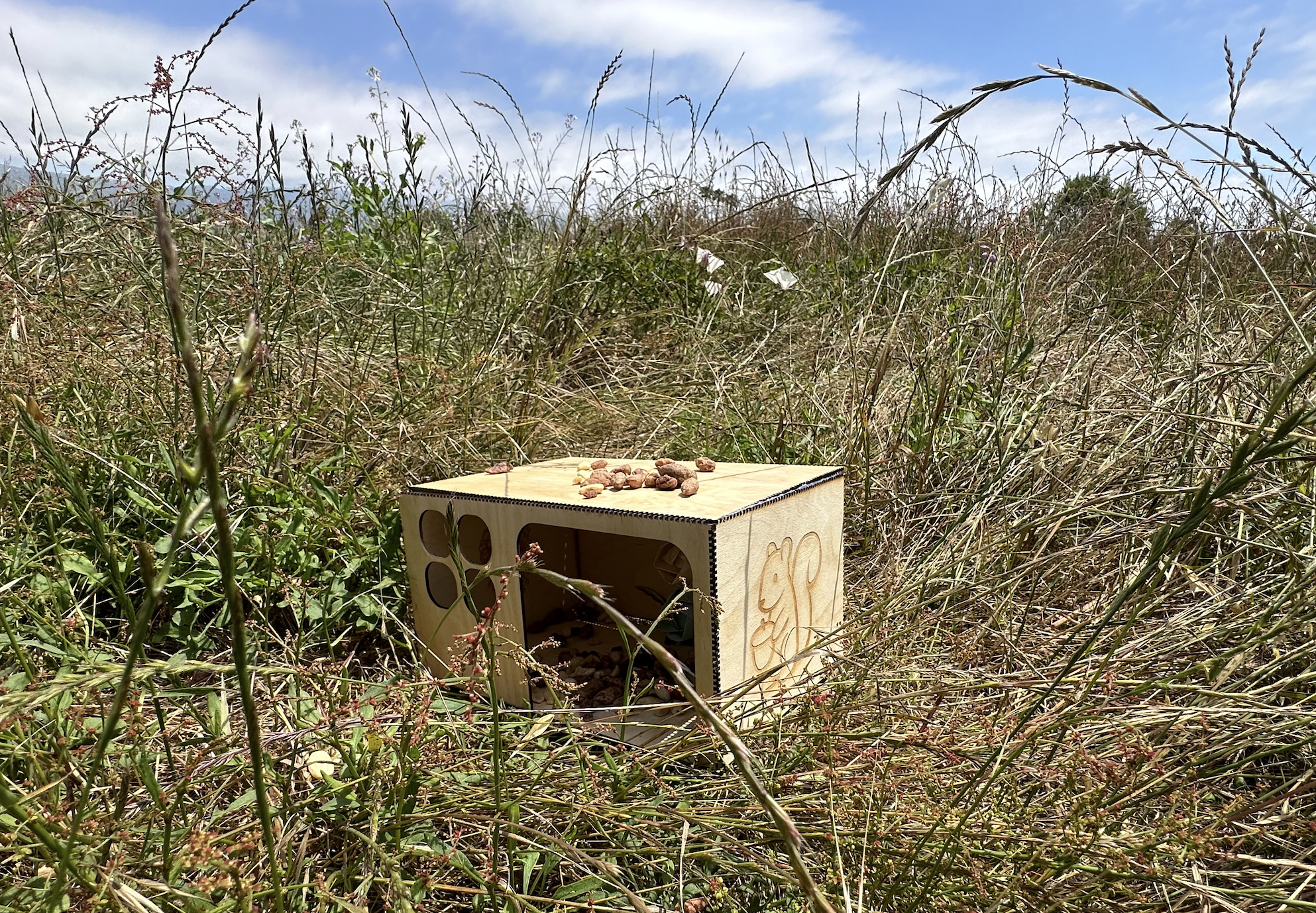 Acorn Commons installation, front view