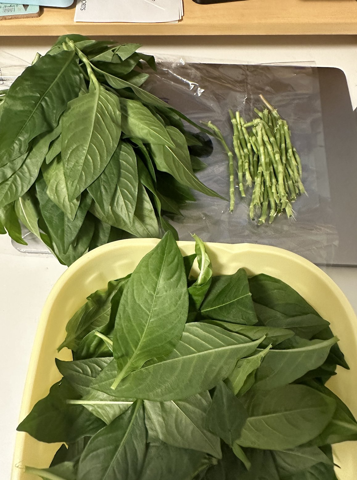 Whole indigo leaves and stripped stems
