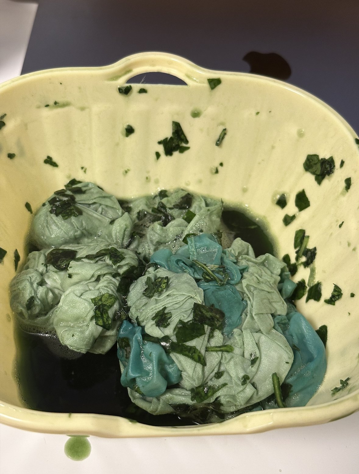 Bound silk soaking directly in fresh indigo leaf juice