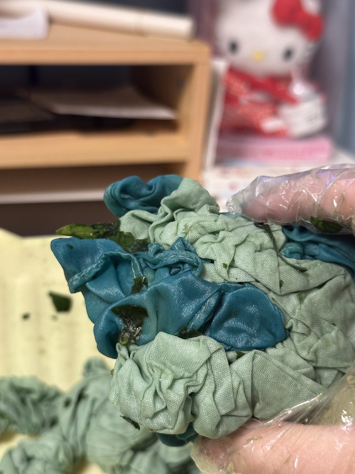 Close-up of silk turning turquoise in the leaf juice