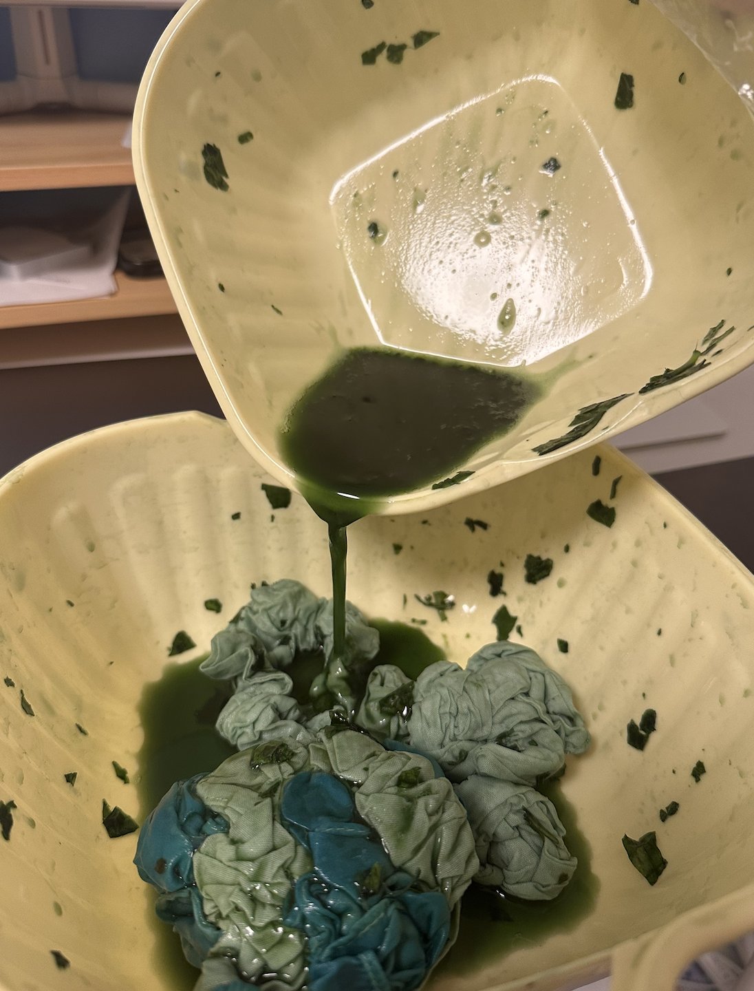 Pouring fresh-ground indigo juice over the bound silk