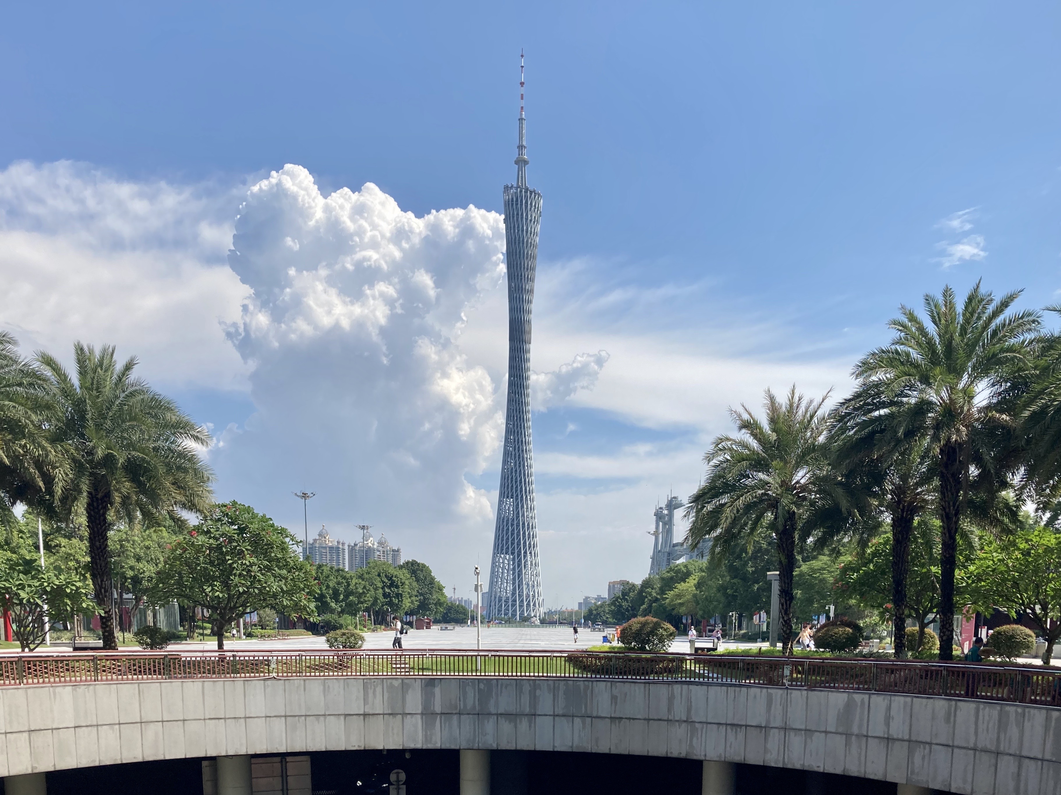 Blue Haven: Canton Towering Amidst the Trees