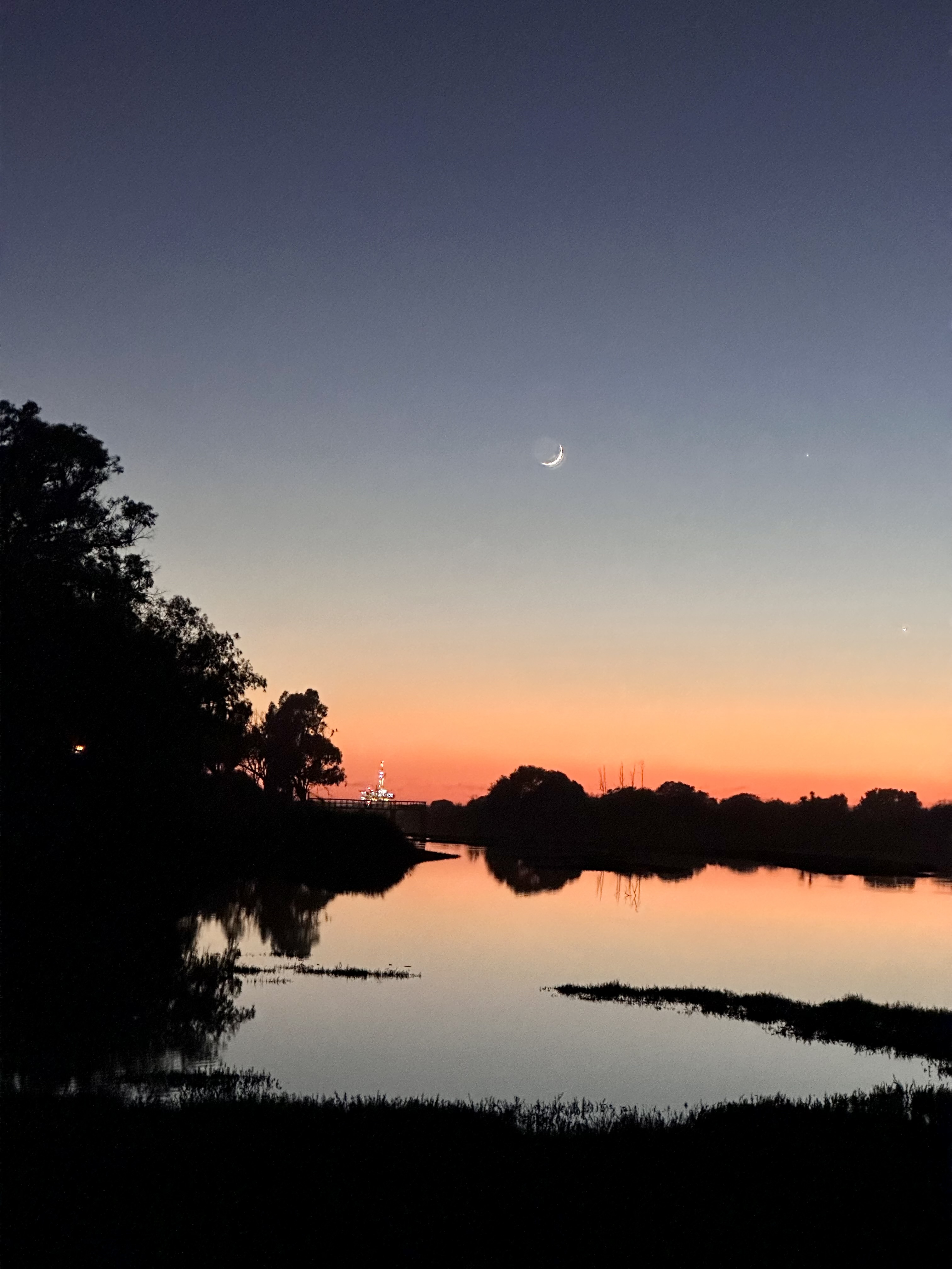 Moonlit Mirage: A Symphony of Colors