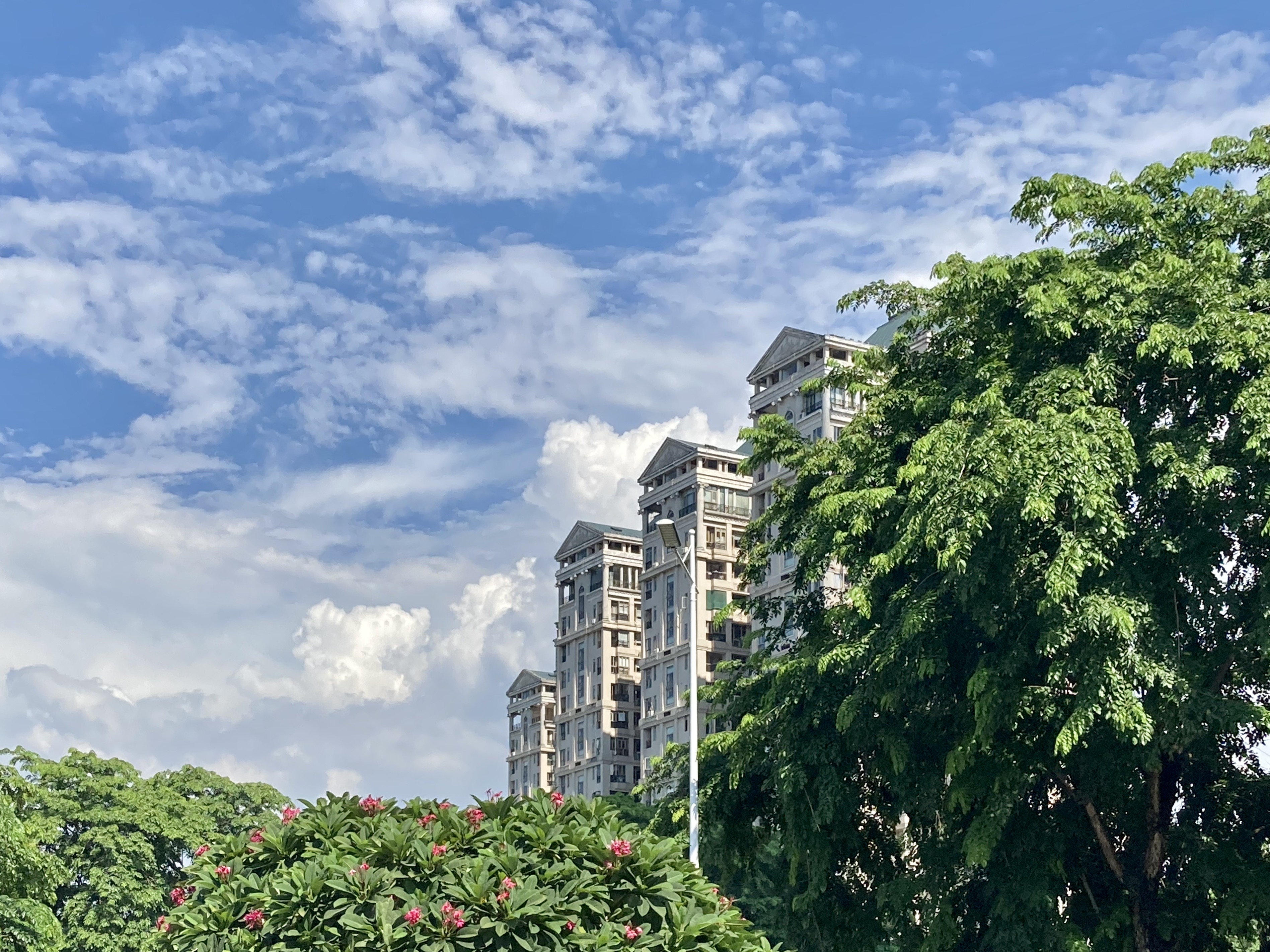Urban Eden: Nature's Embrace