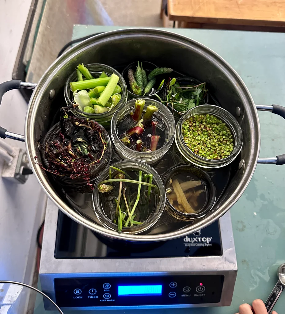 Nonnative plants natural dye